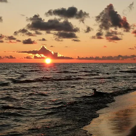 Apartment Mierzeja - Park Premium, 500 M Od Plazy, Bezplatny Meleks Stegna (Pomerania)