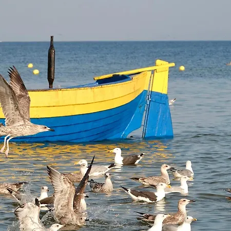 Mierzeja - Park Premium, 500 M Od Plazy, Bezplatny Meleks * Stegna (Pomerania)