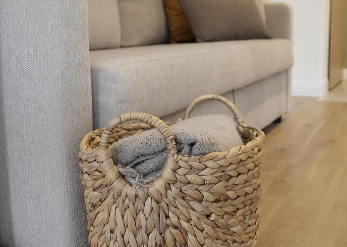 公寓 Mierzeja - Park Premium, 500 M Od Plazy, Bezplatny Meleks 斯蒂格纳