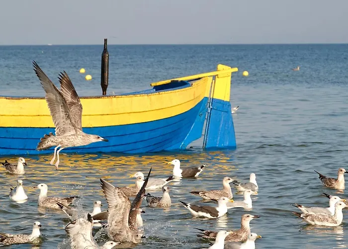 Mierzeja - Park Premium, 500 M Od Plazy, Bezplatny Meleks * 斯蒂格纳